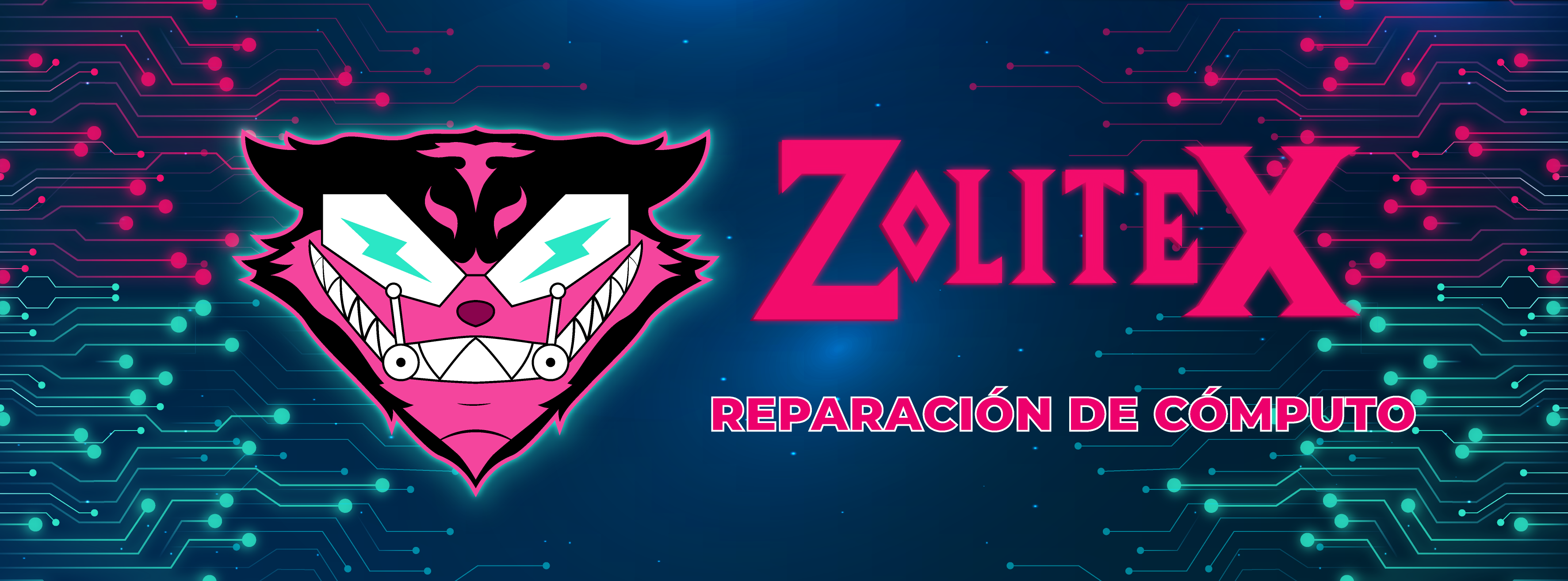 Banner Zolitex